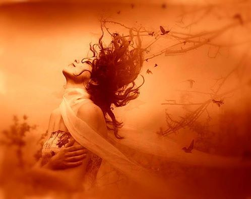 10427217_758111477571357_8368837121960812384_n