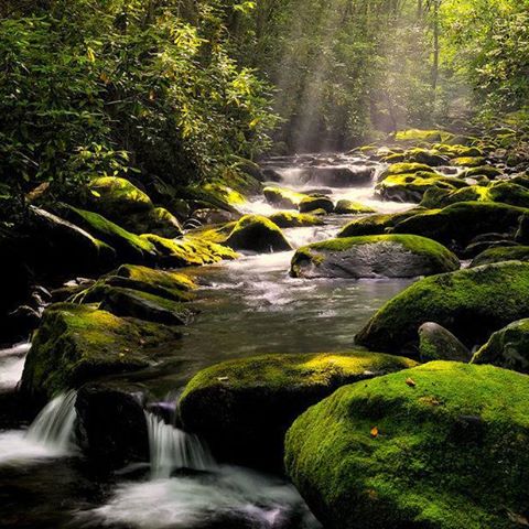 10616680_689211314497145_9046889638815494563_n