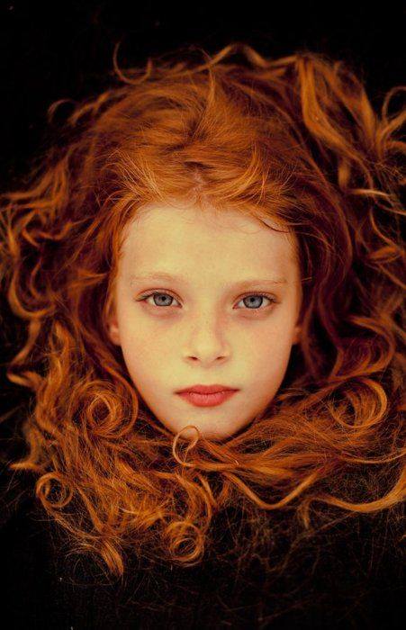 12417637_1020309198032333_3750262061499846787_n