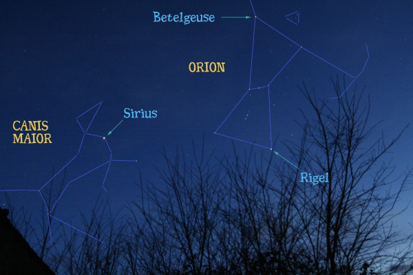 canismaior-sirius (1).jpg