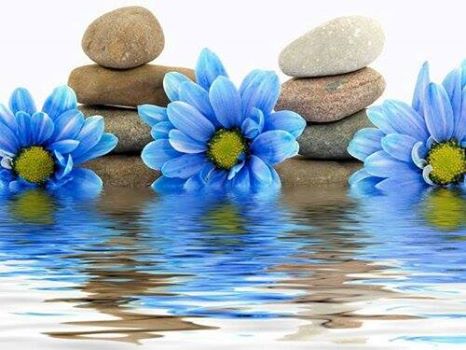 10364006_10152259253698803_5423477972216516530_n