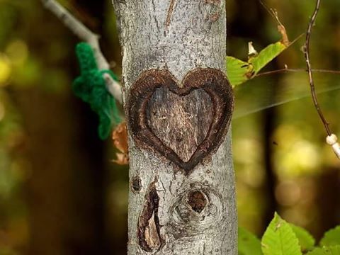 10991105_1574658559469288_1347644702374712515_n