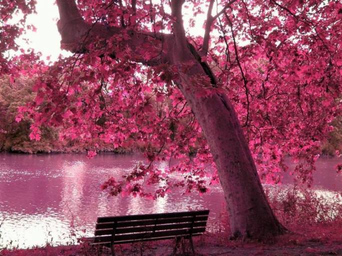 1497584_745794412194456_7178901946322778345_n