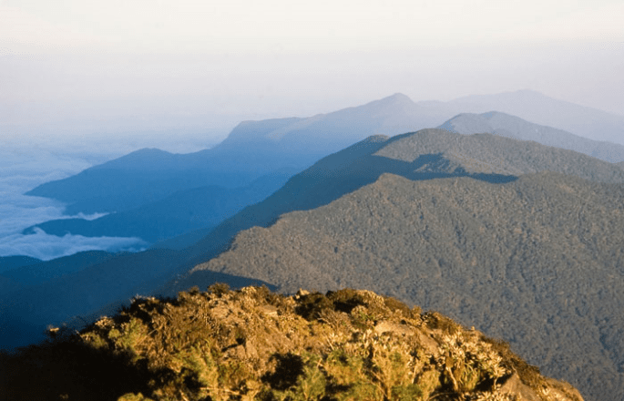 El Cerro Ávila o Waraira Repano.png