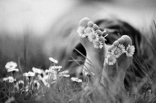 10802063_747021832013655_1465639266412802141_n