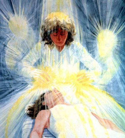 Sanador Curandero Curador.jpeg