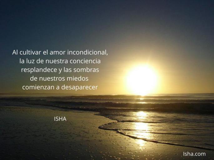 11745431_10152845595297000_2867556739052006126_n