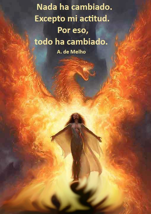 32fc10784ca0171efca1be81c6291d2c