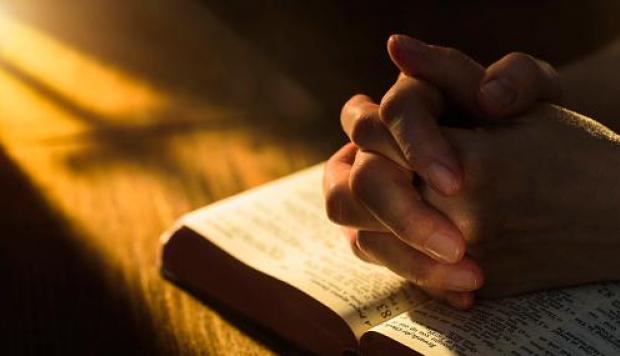 5a1ee81de1a22_r_1511976481652_0-18-498-304